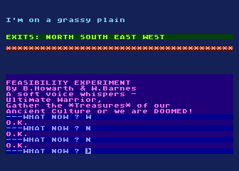 Feasibility Experiment — ss (WOR)