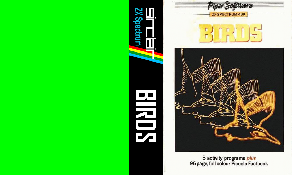 Birds — box-texture (WOR)