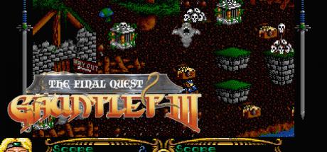 Gauntlet 3 - The Final Quest — steamgrid