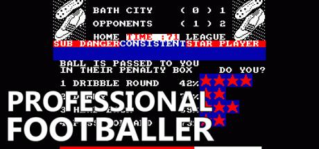 Professional Footballer — steamgrid