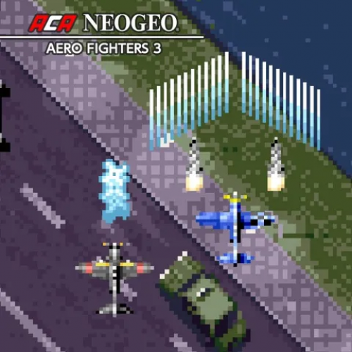 Aca Neogeo Aero Fighters 3 — support-texture (CUS)