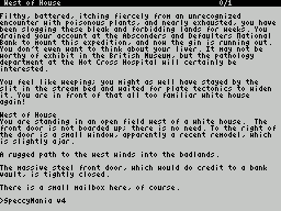 ZxZvm - Informatory - A Not Very Interactive Pastiche With Tutorial Pretensions — ss (WOR)