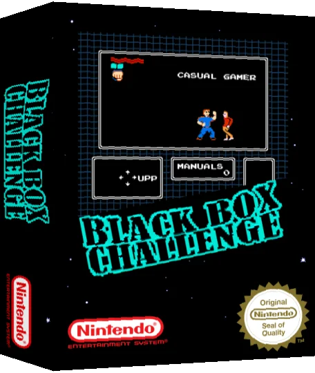 Black Box Challenge — box-3D (SS)