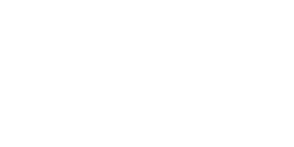 Zong — wheel-hd (WOR)