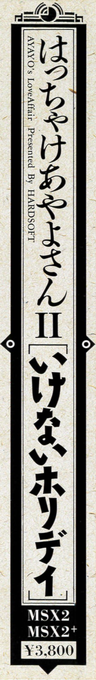 Hacchake Ayayo-san 2 - Ikenai Holiday — box-2D-side (JP)