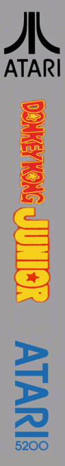 Donkey Kong Jr — box-2D-side (WOR)