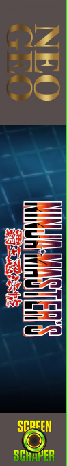 Ninja Master's: Haō Ninpō Chō — box-2D-side (SS)