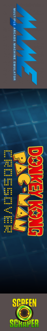 Donkey Kong Pac-Man Crossover — box-2D-side (SS)