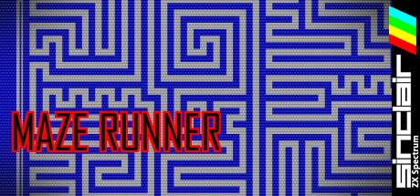 Maze Runner — steamgrid