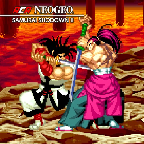 Aca Neogeo Samurai Shodown 2 — support-texture (CUS)