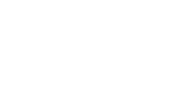 Einstein — wheel-hd (WOR)