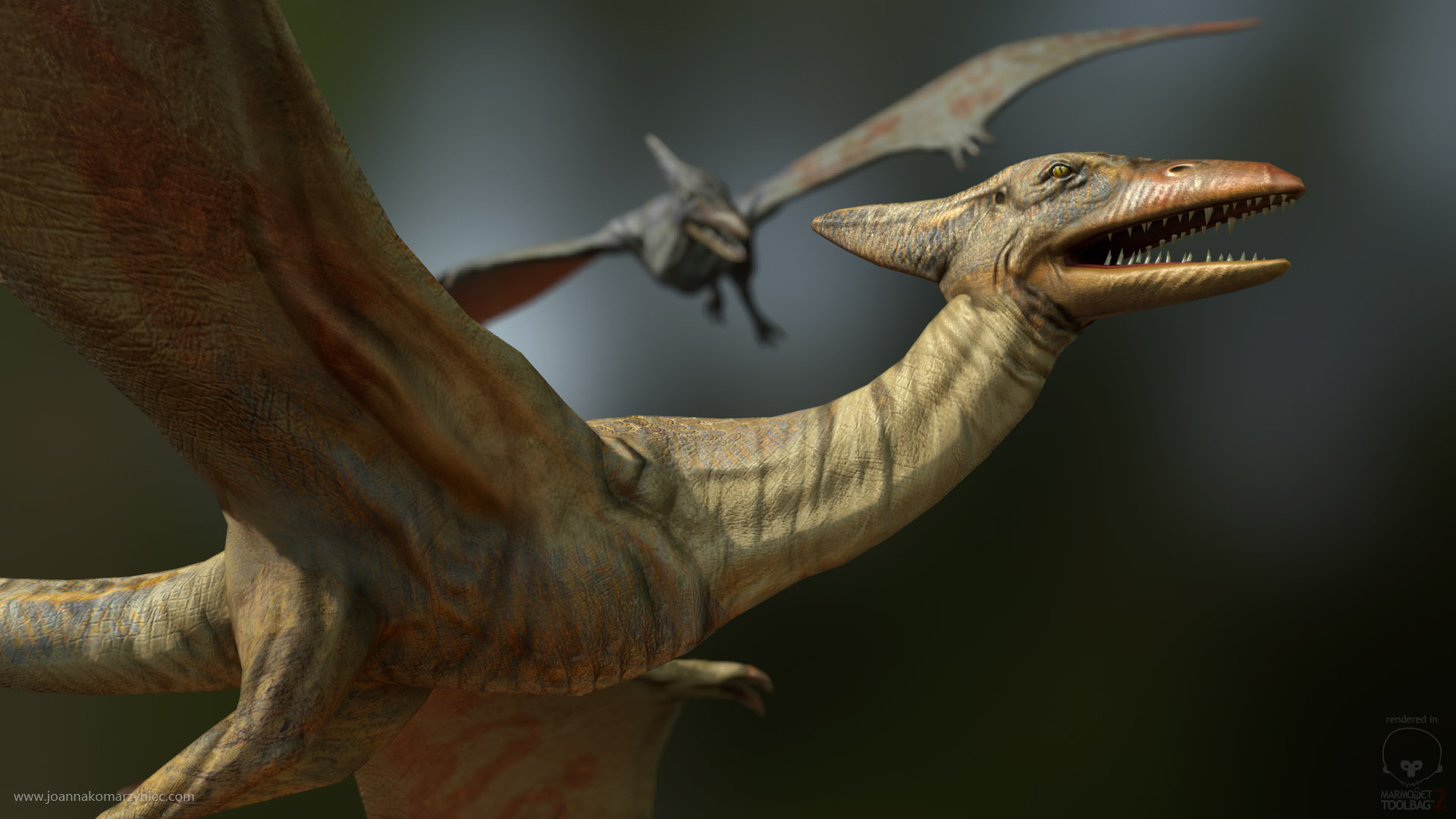 Condor — fanart
