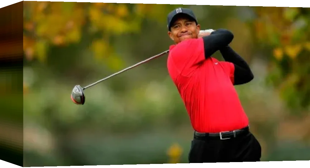Tiger Woods PGA Tour 06 — box-3D (EU)