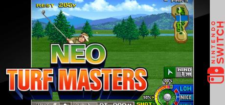 Aca Neogeo Neo Turf Masters — steamgrid
