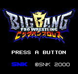 Wrestling Madness — sstitle (JP)