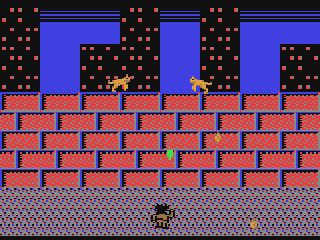 Cat Splat — ss (WOR)