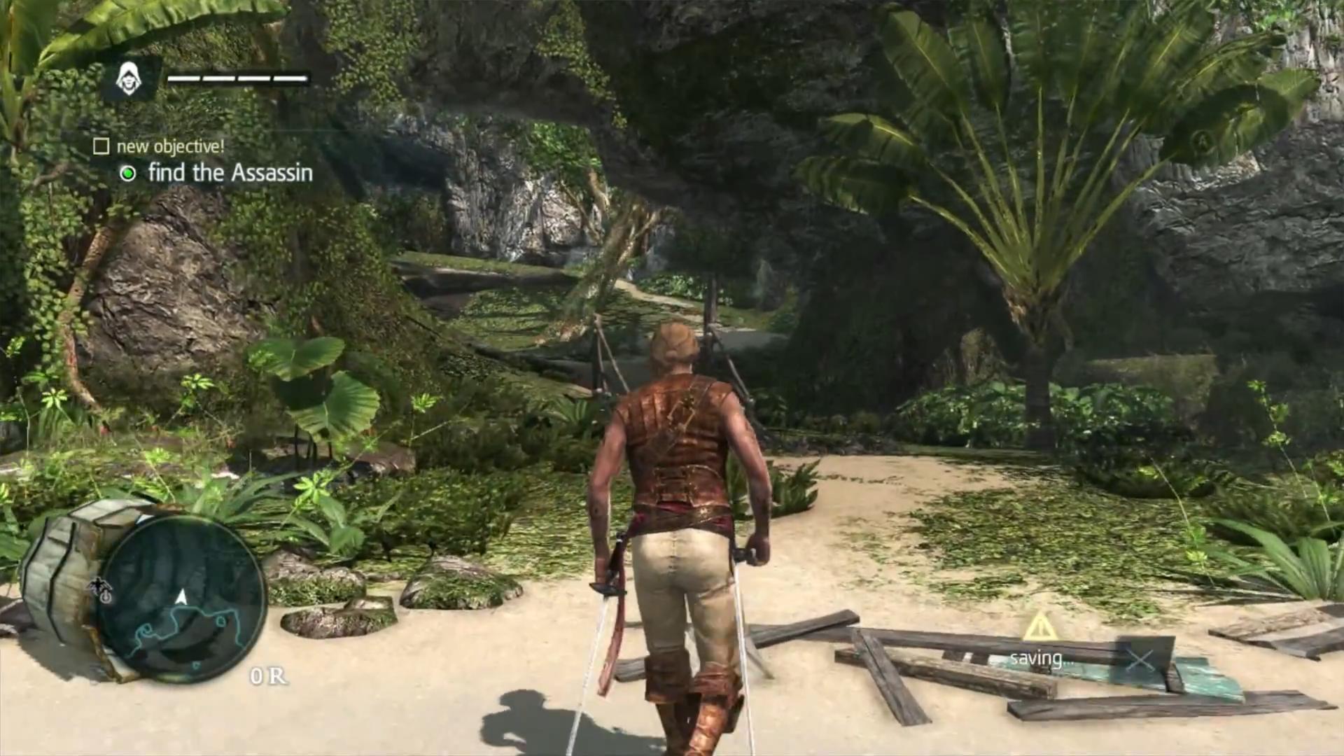 Assassin's Creed 4 - Black Flag — ss (WOR)