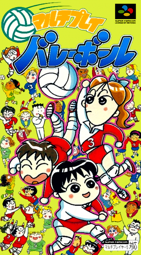 Multi Play Volleyball box art