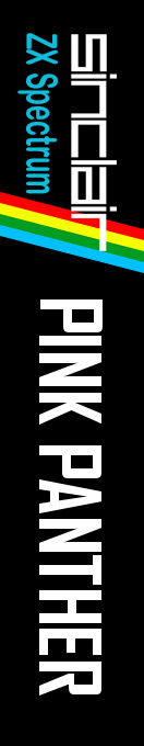 Pink Panther — box-2D-side (WOR)