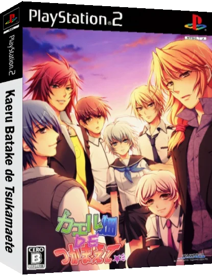 Kaeru Batake de Tsukamaete — box-3D (JP)