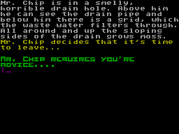 A View to a Chip — ss (WOR)