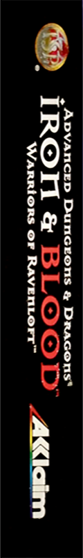Iron And Blood - Warriors Of Ravenloft — box-2D-side (US)