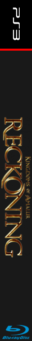 Kingdoms of Amalur - Reckoning — box-2D-side (FR)