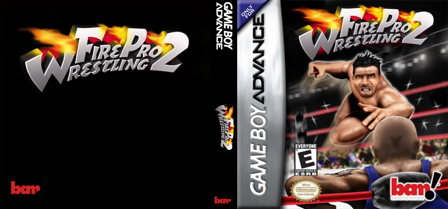 Fire Pro Wrestling 2 — box-texture (US)