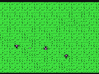 Ants At War — ss (WOR)