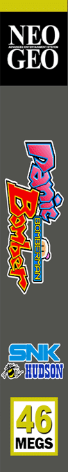 Panic Bomber — box-2D-side (WOR)