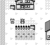 Pokemon : Platinum Version — ss (WOR)