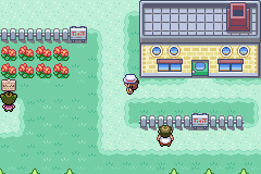 Pokémon - Chaos Black — ss (WOR)