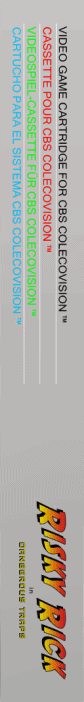 Risky Rick in Dangerous Traps — box-2D-side (WOR)