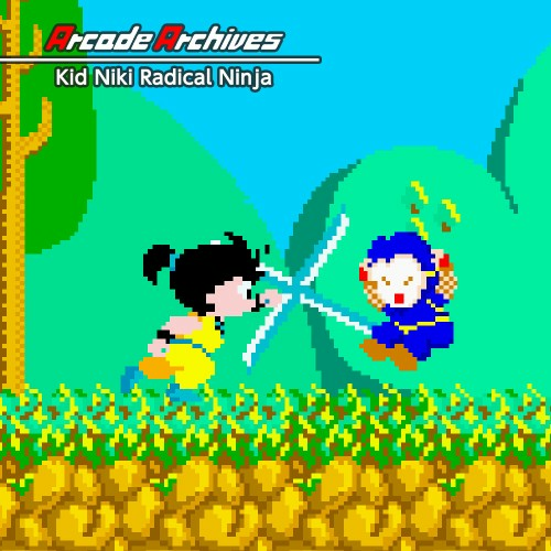 Arcade Archives Kid Niki Radical Ninja — support-texture (CUS)
