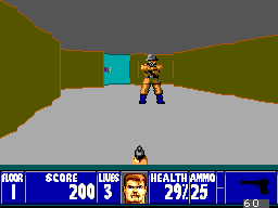 Wolfenstein — ss (WOR)