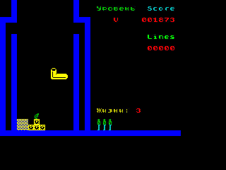 Tetriller — ss (WOR)