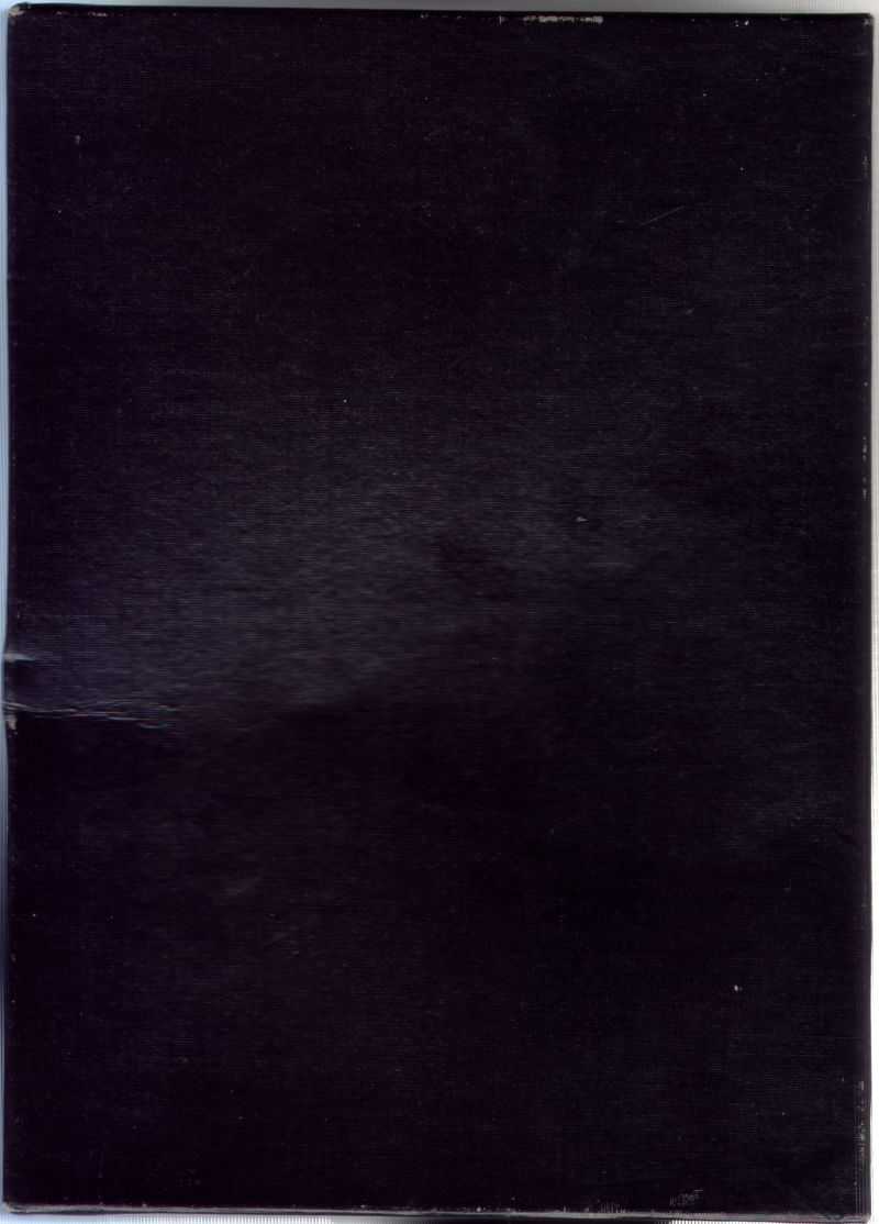 Mudpies — box-2D-back (UK)