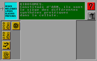 Aux Origines De La Vie — ss (WOR)