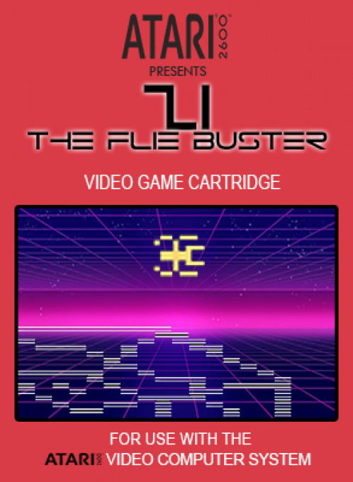 Zi - The Flie Buster box art