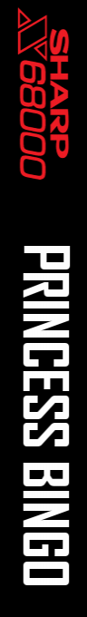 Princess Bingo — box-2D-side (SS)