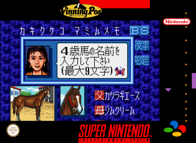 Winning Post — box-2D (SS)