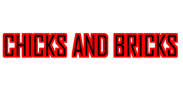 Chicks And Bricks — wheel-hd (SS)