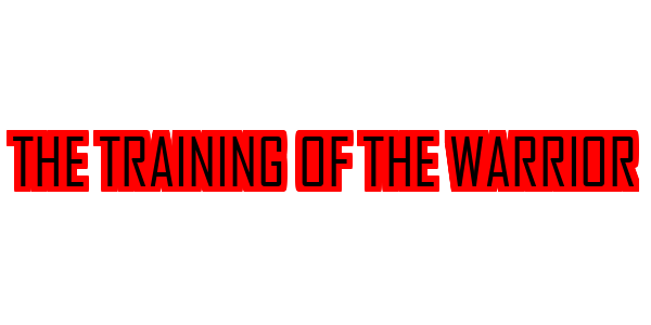 The Training Of The Warrior — wheel-hd (SS)