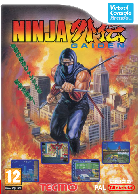 Ninja Gaiden — box-2D (FR)