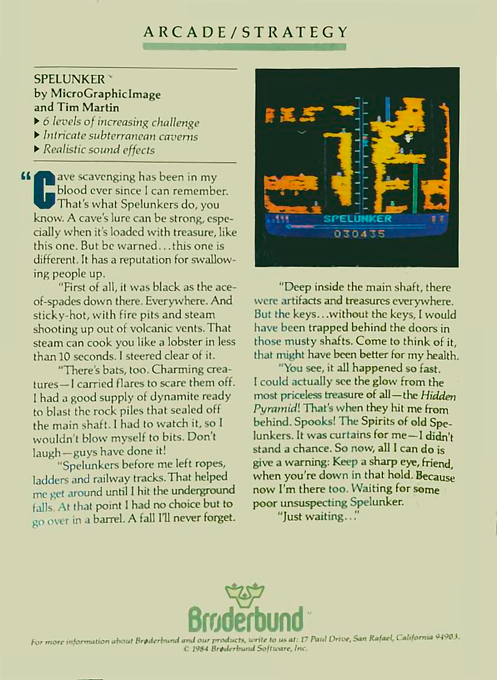 Spelunker — box-2D-back (WOR)