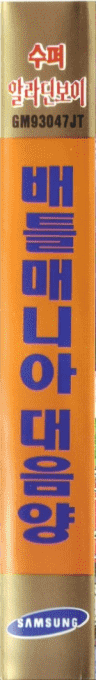 Battle Mania Daiginjou — box-2D-side (KR)