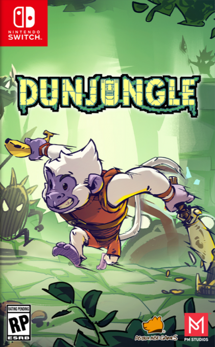 Dunjungle box art