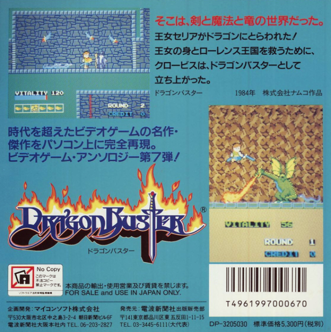 Dragon Buster — box-2D-back (CUS)