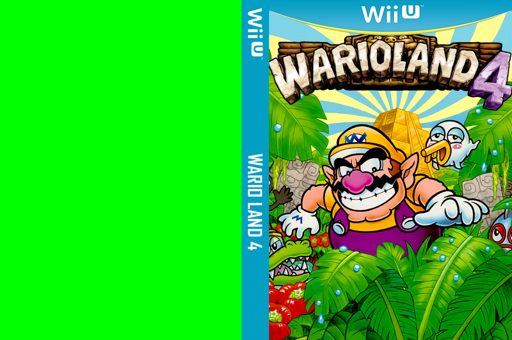 Wario Land 4 — box-texture (WOR)