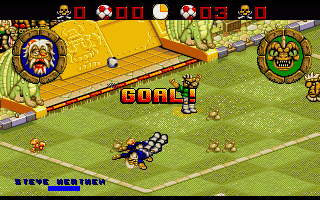Wild Cup Soccer — ss (WOR)